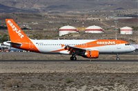 ©Alfonso Solís - Asociación Canary Islands Spotting. Click to see full size photo ©Alfonso Solís - Asociación Canary Islands Spotting. Click to see full size photo