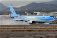 Miguel A. gueda Rguez.  (CANARY ISLANDS SPOTTING). Click to see full size photo