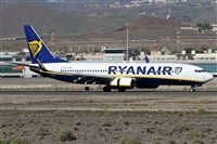 Alfonso Sols - Asociacin Canary Islands Spotting. Click to see full size photo