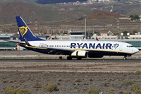 Alfonso Sols - Asociacin Canary Islands Spotting. Click to see full size photo