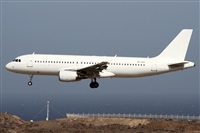 Alfonso Sols - Asociacin Canary Islands Spotting. Haz click para ampliar