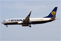 Alfonso Sols - Asociacin Canary Islands Spotting. Click to see full size photo