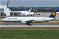 Alfonso Sols - Asociacin Canary Islands Spotting. Click to see full size photo