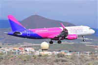 Miguel A. gueda Rguez.  (CANARY ISLANDS SPOTTING). Haz click para ampliar