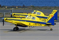 ©Alejandro H.L - Gran Canaria Spotters. Click to see full size photo ©Alejandro H.L - Gran Canaria Spotters. Click to see full size photo