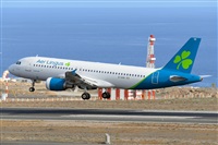 Miguel A. gueda Rguez.  (CANARY ISLANDS SPOTTING). Haz click para ampliar