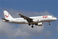 Alfonso Sols - Asociacin Canary Islands Spotting. Haz click para ampliar