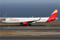 ©Alfonso Solís - Asociación Canary Islands Spotting. Click to see full size photo ©Alfonso Solís - Asociación Canary Islands Spotting. Click to see full size photo