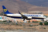 ŠLuis Rguez - La Palma Spotting. Click to see full size photo ŠLuis Rguez - La Palma Spotting. Click to see full size photo