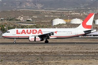 Alfonso Sols - Asociacin Canary Islands Spotting. Click to see full size photo
