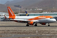 Alfonso Sols - Asociacin Canary Islands Spotting. Click to see full size photo