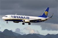 Miguel A. gueda Rguez.  (CANARY ISLANDS SPOTTING). Haz click para ampliar