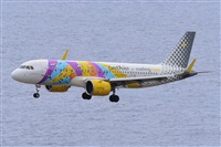 Miguel A. gueda Rguez.  (CANARY ISLANDS SPOTTING). Haz click para ampliar