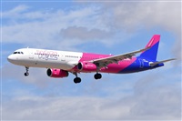 Miguel A. gueda Rguez.  (CANARY ISLANDS SPOTTING). Haz click para ampliar