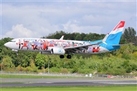 Miguel A. gueda Rguez.  (CANARY ISLANDS SPOTTING). Haz click para ampliar