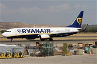 Alfonso Sols - Asociacin Canary Islands Spotting. Click to see full size photo