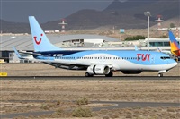 Alfonso Sols - Asociacin Canary Islands Spotting. Click to see full size photo
