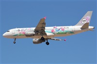 Adrin Alonso Lemes - Lanzarote Spotters. Haz click para ampliar