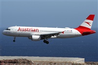 ©Alfonso Solís - Asociación Canary Islands Spotting. Click to see full size photo ©Alfonso Solís - Asociación Canary Islands Spotting. Click to see full size photo