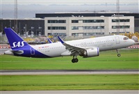 Miguel A. gueda Rguez.  (CANARY ISLANDS SPOTTING). Click to see full size photo