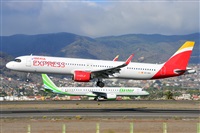 Miguel A. gueda Rguez.  (CANARY ISLANDS SPOTTING). Haz click para ampliar