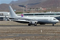 ©Alfonso Solís - Asociación Canary Islands Spotting. Click to see full size photo ©Alfonso Solís - Asociación Canary Islands Spotting. Click to see full size photo