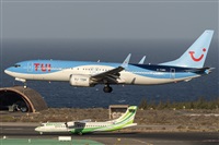 ©Adolfo Bento - Gran Canaria Spotters. Click to see full size photo ©Adolfo Bento - Gran Canaria Spotters. Click to see full size photo