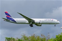 Miguel A. gueda Rguez.  (CANARY ISLANDS SPOTTING). Click to see full size photo