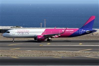 �Alfonso Sol�s - Asociaci�n Canary Islands Spotting. Click to see full size photo