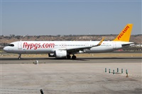 �Alfonso Sol�s - Asociaci�n Canary Islands Spotting. Click to see full size photo