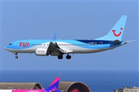 �Miguel A. �gueda Rguez.  (CANARY ISLANDS SPOTTING). Click to see full size photo