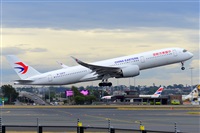 �Miguel A. �gueda Rguez.  (CANARY ISLANDS SPOTTING). Click to see full size photo