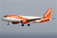 ©Alfonso Solís - Asociación Canary Islands Spotting. Click to see full size photo ©Alfonso Solís - Asociación Canary Islands Spotting. Click to see full size photo