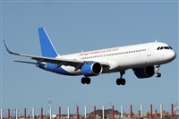 ©Alfonso Solís - Asociación Canary Islands Spotting. Click to see full size photo ©Alfonso Solís - Asociación Canary Islands Spotting. Click to see full size photo