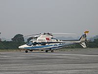 Ivan - IBE6402. Click to see full size photo