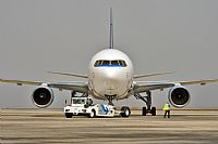 Javier de la Cruz - CANARY ISLANDS SPOTTING. Click to see full size photo