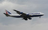 ©Guillem Ramonet - Iberian Spotters. Click to see full size photo ©Guillem Ramonet - Iberian Spotters. Click to see full size photo