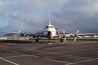 Ayoze Santana Mendez - Canary Islands Spotting. Click to see full size photo
