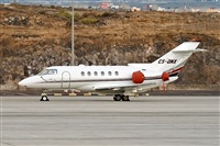 Javier de la Cruz - CANARY ISLANDS SPOTTING. Click to see full size photo