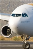 Javier de la Cruz - CANARY ISLANDS SPOTTING. Click to see full size photo