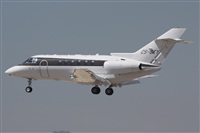 Rodrigo Carvalho - Noisy Spotters. Click to see full size photo