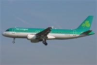 Rodrigo Carvalho - Noisy Spotters. Click to see full size photo