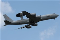 Rodrigo Carvalho - Noisy Spotters. Click to see full size photo