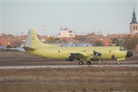 Jos Ramn Valero - Iberian Spotters. Click to see full size photo