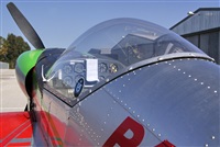 ©Salvador de la Rubia ( Marbella Spotters ). Click to see full size photo ©Salvador de la Rubia ( Marbella Spotters ). Click to see full size photo