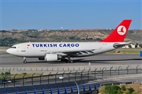 Miguel A. gueda Rguez.  (CANARY ISLANDS SPOTTING). Click to see full size photo