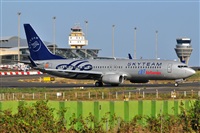 Miguel A. gueda Rguez.  (CANARY ISLANDS SPOTTING). Click to see full size photo