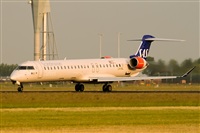 Javier de la Cruz - CANARY ISLANDS SPOTTING. Click to see full size photo