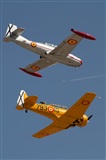 Moga Ral Viorel. Click to see full size photo