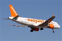 Alfonso Sols - Asociacin Canary Islands Spotting. Click to see full size photo